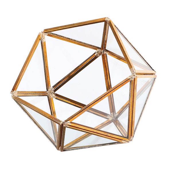 Förpackning Glasflaska Glas Terrarium Suckulent Planteringskärl Blomvas