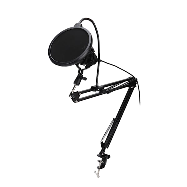 [RM]Professional USB Microphone with Stand for Gaming, Broadcasting, and Podcast Recording