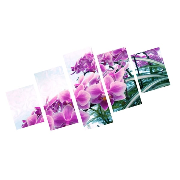 5 Delar Modern Canvas Print Orkidé Väggkonst Bild Målning 40/60/80cm
