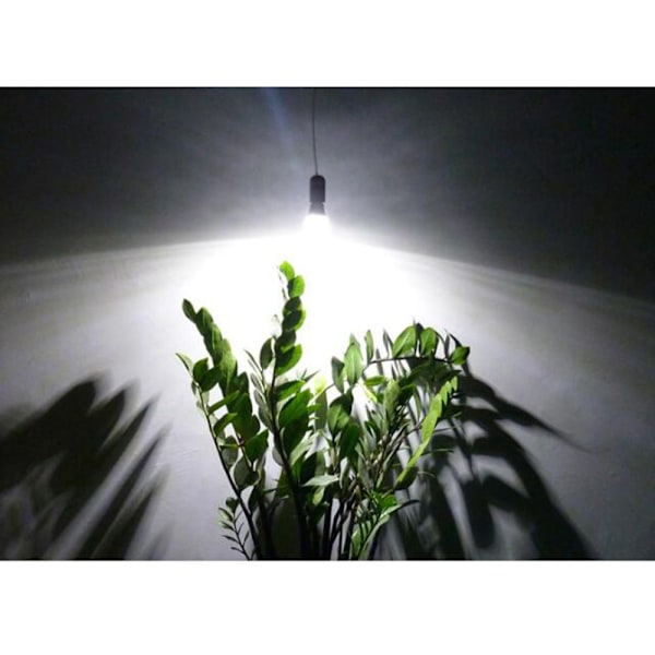 E27 LED Växtlampa för Inomhusbruk för Rosa Krysantemum Vit