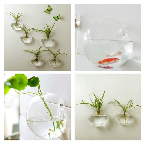 6x Glas Växtterrarium Väggupphängning För Heminredning