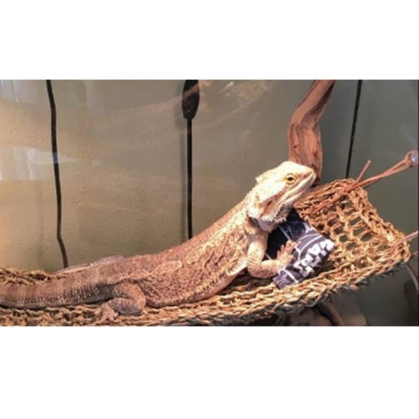 Naturlig Sjöböna Ödla Lounging Reptil Hängmatta Nr.1 Rektangel Hörn Hängmatta