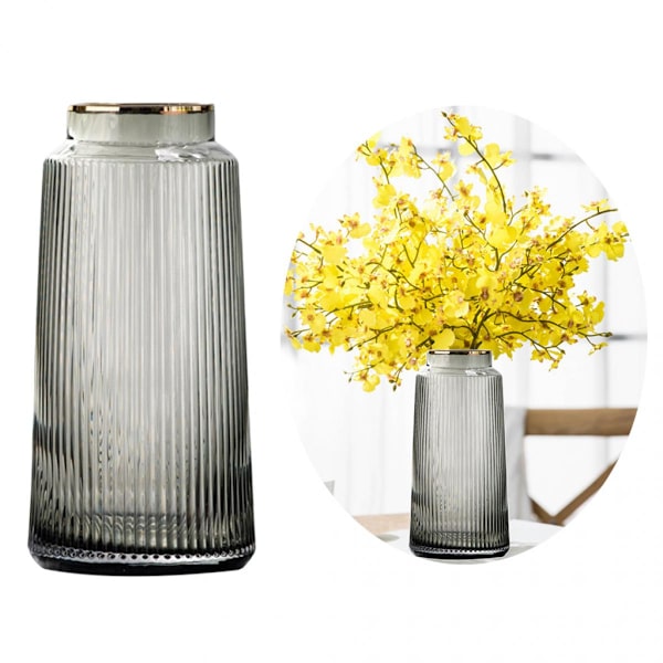 Glasvas Blomsterdisplay Bordsdekoration Hydroponiska Vaser Grå 25cm