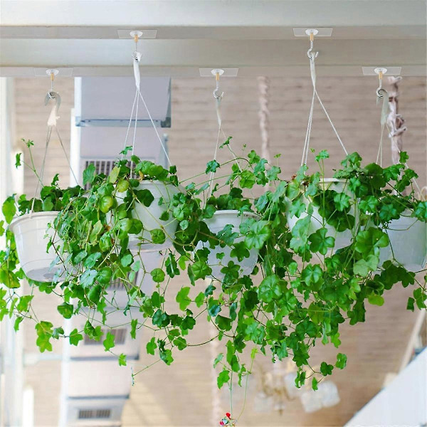 [RM]Self-adhesive Ceiling Hooks, 10 Pcs Ceiling Hanging Hooks, Adhesive Ceiling Hooks Hold 5kg, Hooks for Hanging Plants, Lanterns