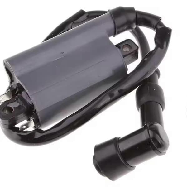 Ignition Coil Compatible with Buyang 260 260cc 300cc D300 G300 Engine Black