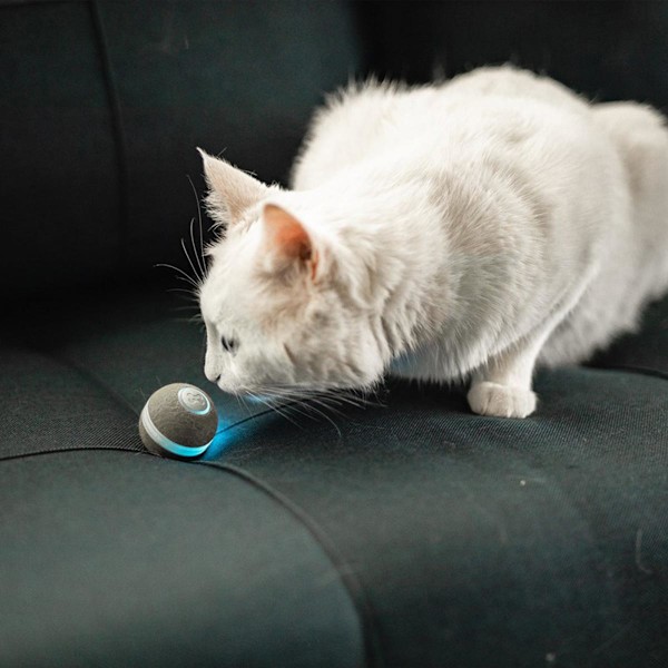 Kattbollleksaker Robot Glödande boll Jagar Träning Lek Djur Leksak Grå