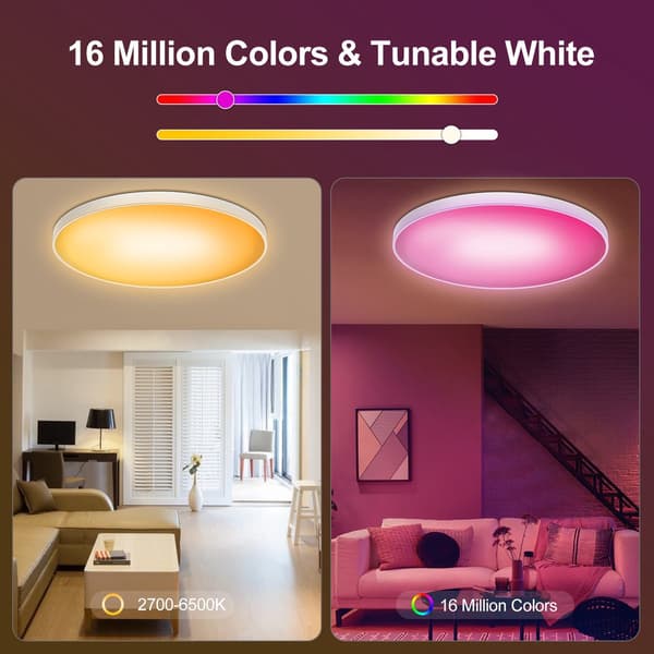 [RM]LED Ceiling Light 30cm - RGB Bathroom Lamp with Bluetooth and App - Smart WiFi Ceiling Light 2700K-6500K Remote Control