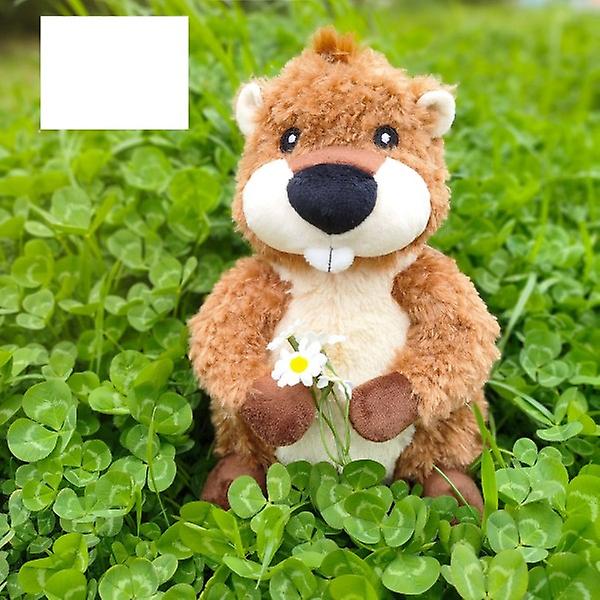 25cm Simulerad Vombat Plyschleksaker Fyllda Vilda Djur Bäver Porcellus Musdockor för Bebis