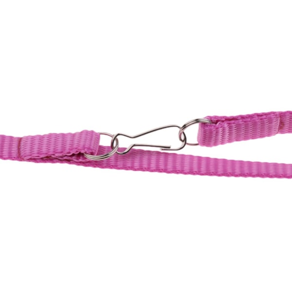 reptil ödla papegoja fågel sele justerbart koppel anti-bett rosa rep