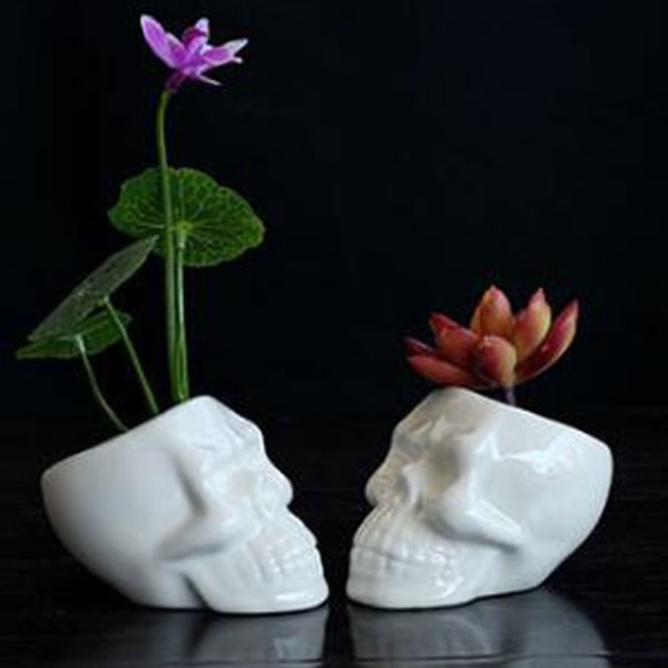 Skull Head Suckulent inomhus blomkruka