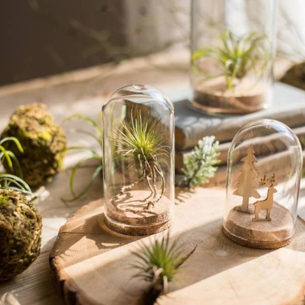 glaslock landskap terrarium behållare lock vas flaska 8x18cm