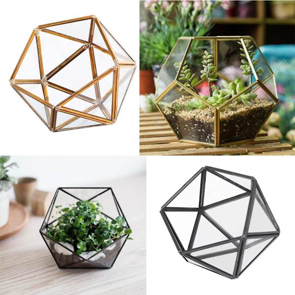 Förpackning Glasflaska Glas Terrarium Suckulent Planteringskärl Blomvas
