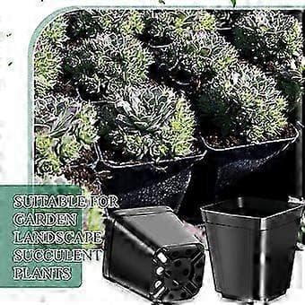 50 stk. svarte firkantede plantepotter