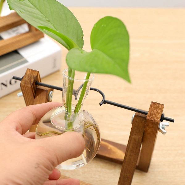 Hydroponisk Planteringslåda i Glas för Heminredning, 3 Delar