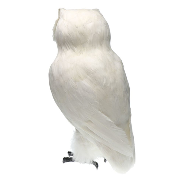 Konstgjord Uggla Fågel Realistisk Fjäder Taxidermy Hem Trädgård Dekor Vit #1
