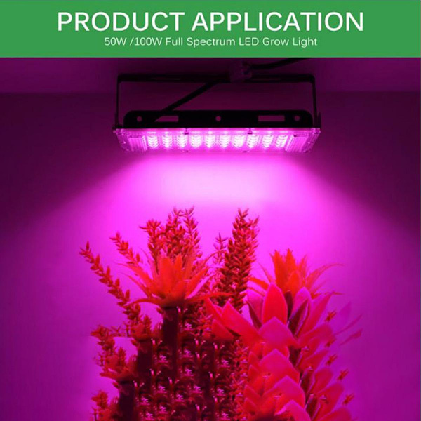 50W/100W LED Växtlampa Fullt Spektrum För Hydroponiska Inomhusväxter EU-kontakt 100W