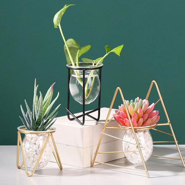 Hydroponisk Växt Glasvas Bonsai Blomkruka Ram Heminredning Triangel
