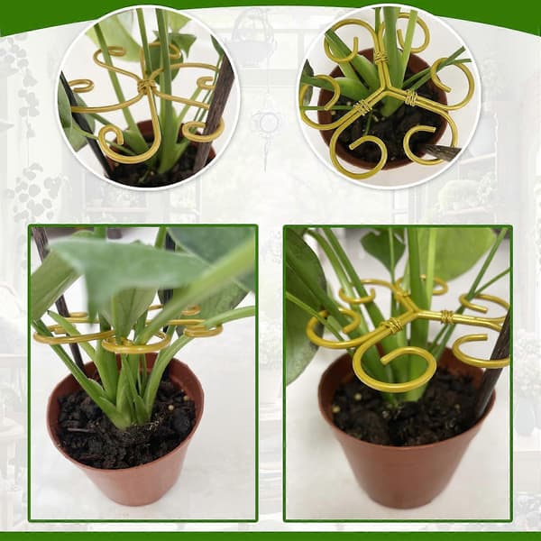 Återanvändbart Monstera Växtstöd Kit, 6-pack Rostbeständiga Bladklämmor (3 Hjärtformade + 3 Blomstermönstrade)