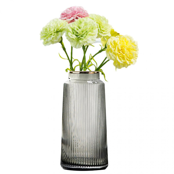 Glasvas Blomsterdisplay Bordsdekoration Hydroponiska Vaser Grå 25cm