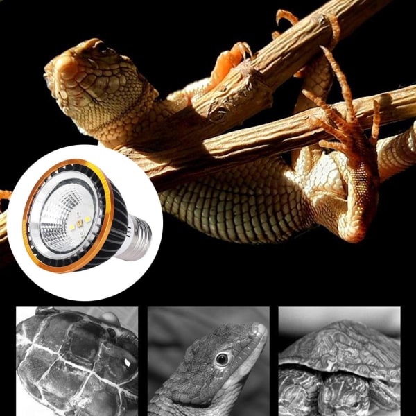 Led Reptilljus Sollampa Pour Amphibian Turtle Chameleon Lizard Snake 5.0