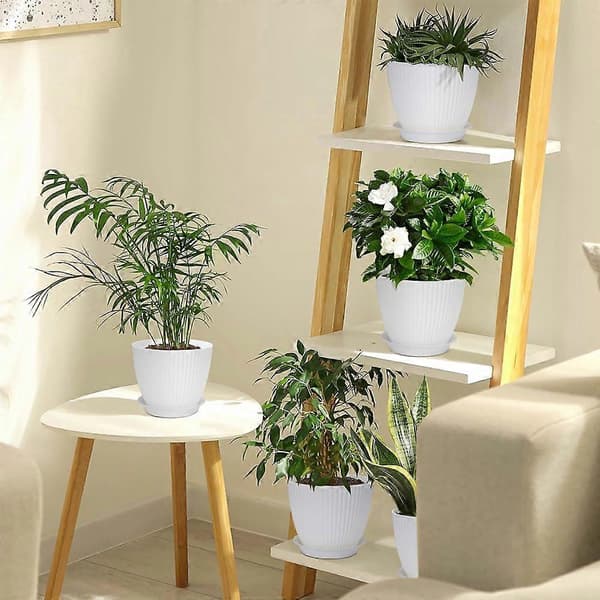 Blomkruka med hål, med rund bricka, vit, 1 styck