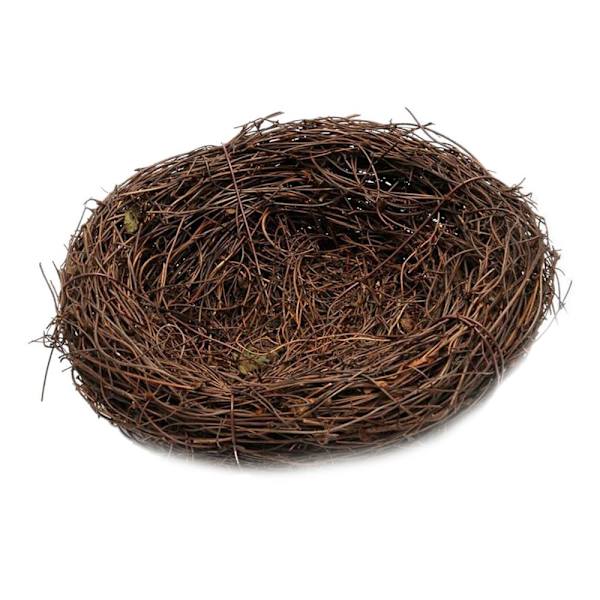 Fågelbo fink fågelbädd