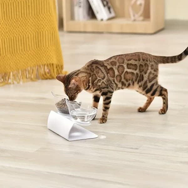 [RM] Elevated Tilted Double Pet Bowl, Cat and Dog Bowls to Protect Pet's Neck