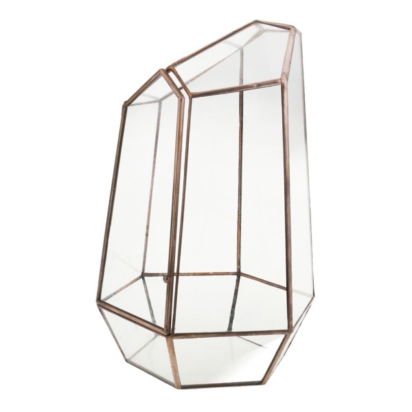 geometrisk oregelbunden glasterrariumbordslåda suckulentväxt m