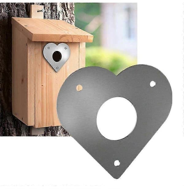 Hackspettsskydd för holk och fågelhus - Extra säkert flyghålsskydd för holkar