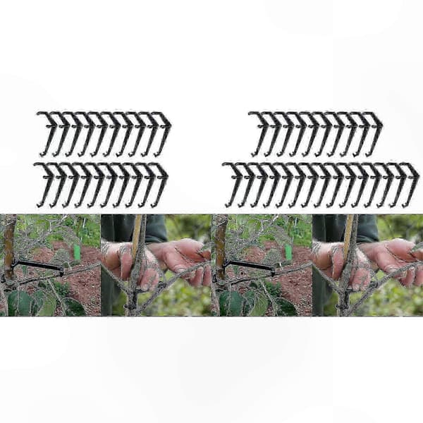 Hedelmäpuun oksanlevitin vahvoille haarautumiskulmille 20PCS