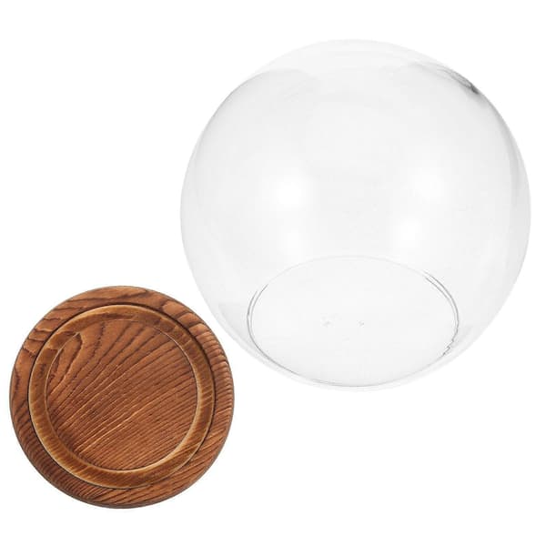 1 uppsättning rund formad glaskupol med träbas, displayfodral för evighetsblomma size