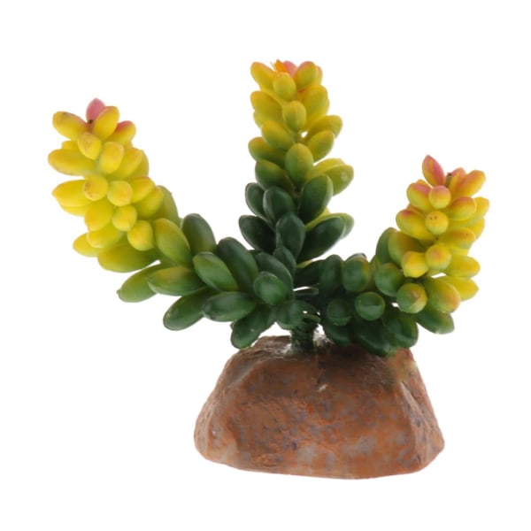 Dekoration för terrarium Vivarium