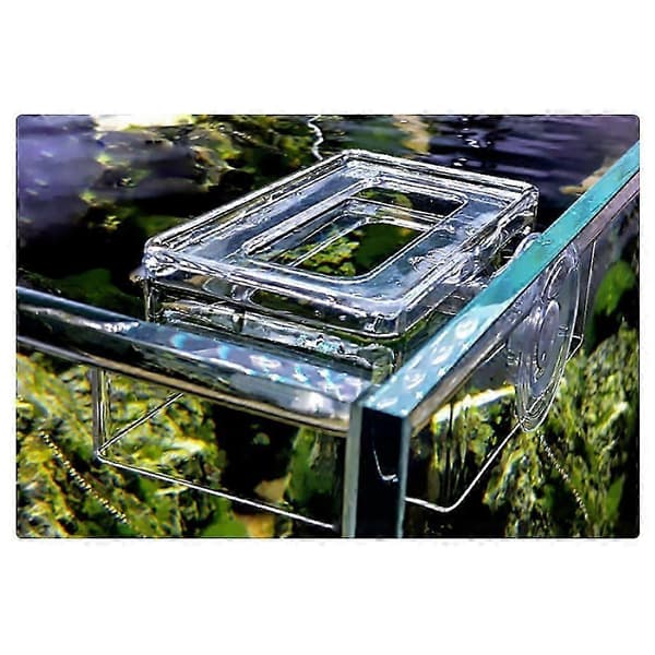 Akvarium Klar Fiskefoderautomat med Sugekop Gennemsigtig Akryl Fisk til Tankstation Flydende Foderfodringsring