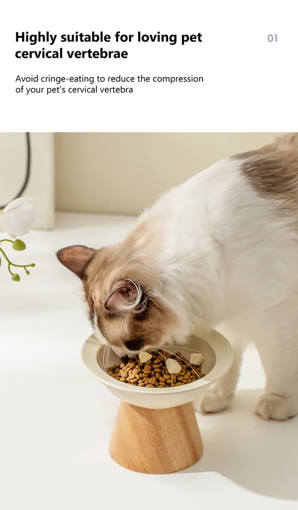 [RM] Elevated Ceramic Pet Bowls - Phoesky - Rounded Shape - Vintage Green - Angled Base - 200 ml - 14x11 cm