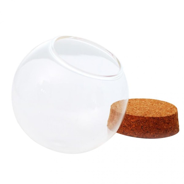 2xdia 12cm glaskula formad kupa landskap terrarium behållare lock vas