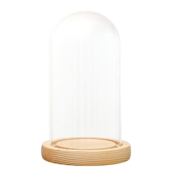Mikrolandskap F 12x20cm LED Träställ Klar Glasmonter
