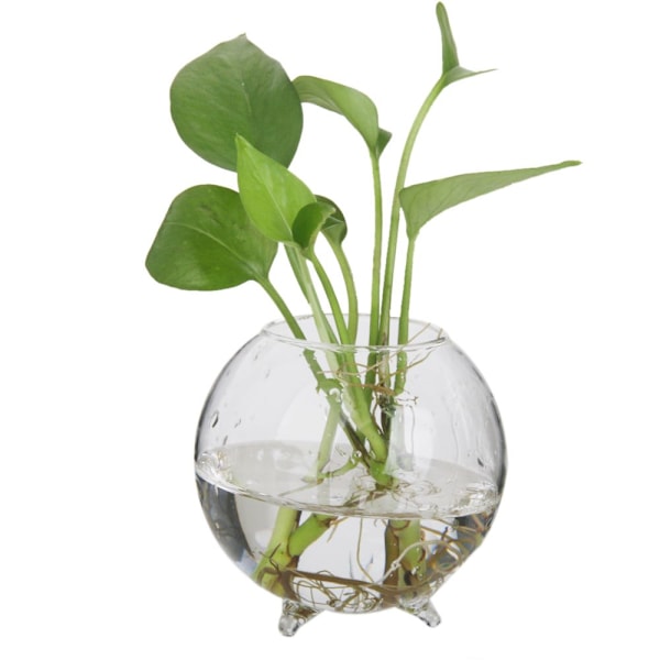 Blomvas Hydroponisk Kruka