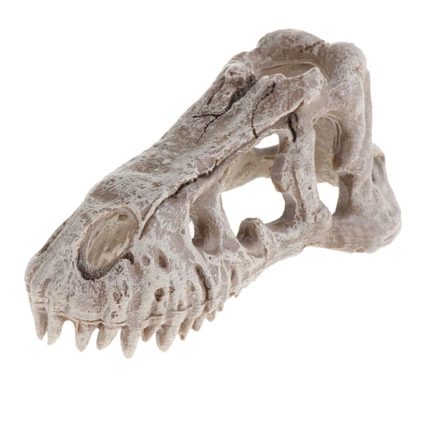 Reptil Vivarium Terrarium Dekoration DIY Landscaping Tyrannosaurus Skull