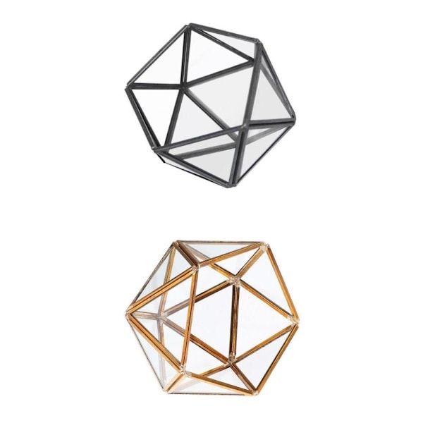 Förpackning Glasflaska Glas Terrarium Suckulent Planteringskärl Blomvas