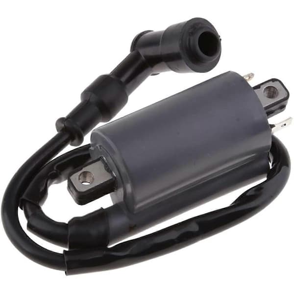 Ignition Coil Compatible with Buyang 260 260cc 300cc D300 G300 Engine Black