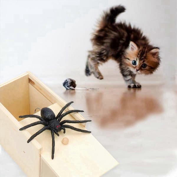 Trick Spider Rolig Skrämsellåda Trä Dold Låda Bus Trä Skrämsellåda