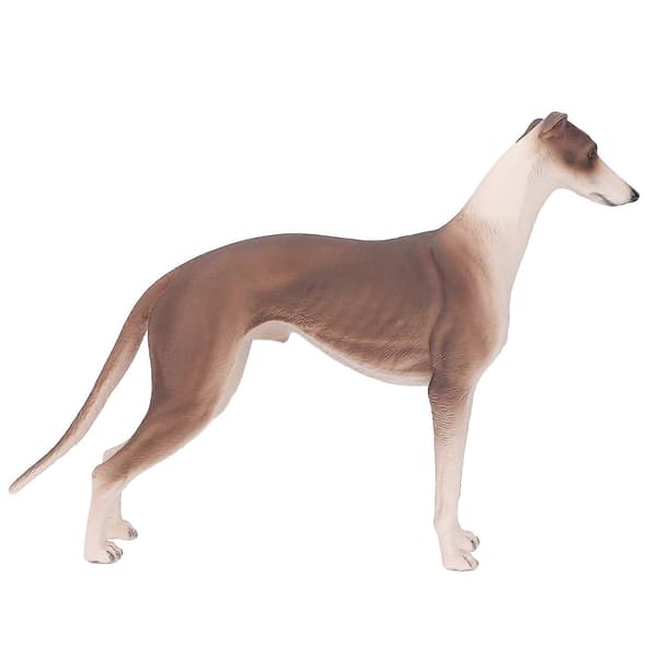 [RM]Realistisk Greyhound Figur Kæledyr Videnskabsuddannelse Kognition Hvalpehund Model til 3 år og derover