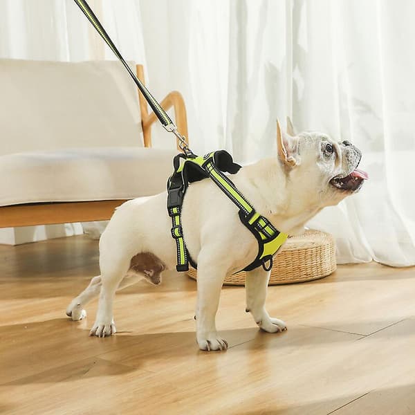 Justerbar reflekterande hundsele, storlek S