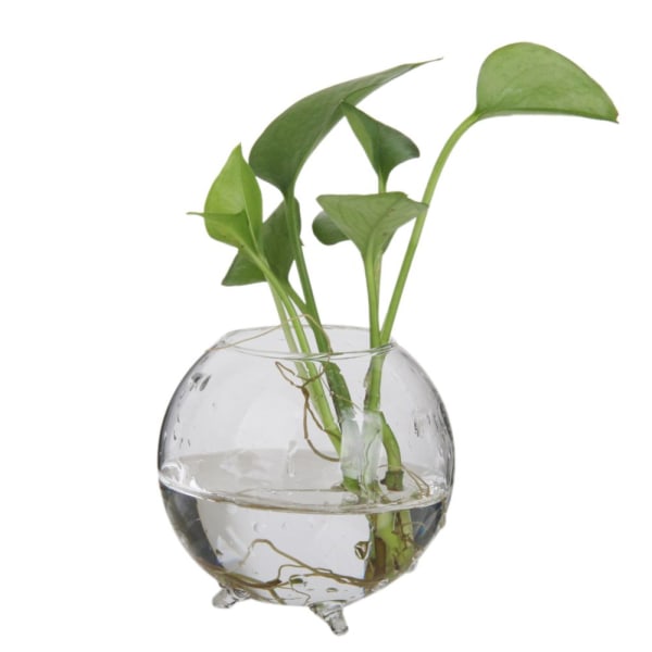 Blomvas Hydroponisk Kruka