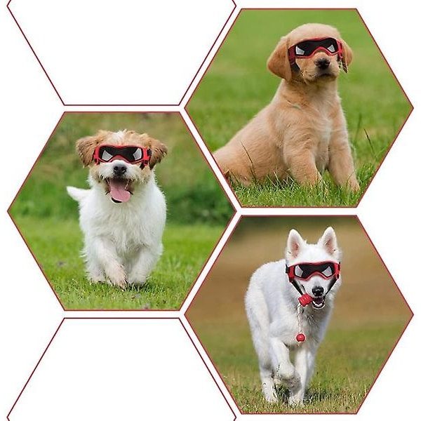 Glasögon för hundar Hundglasögon UV-skyddsglasögon Snöskydd Vindskydd Dammskydd med justerbar rem