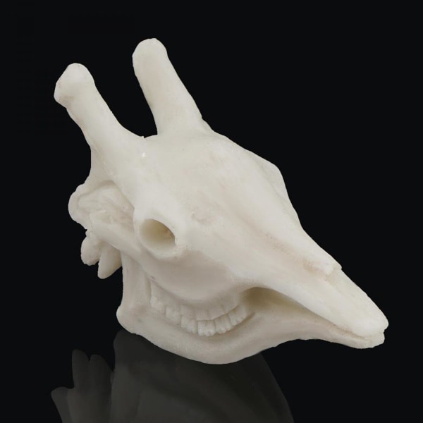 Akvariedekoration Resin Skalle Akvarium Dekor Fisk Grotta Giraff