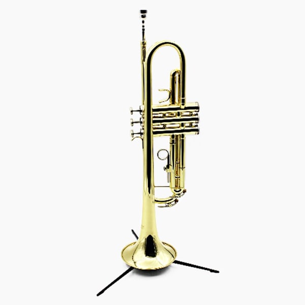 Saxofonstativ saxofon