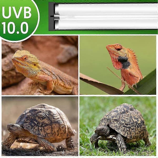 T5 UVB Krybdyrlysarmatur 8W 10.0 UVB Lampe med Buet Legeringsreflektor til Terrarium