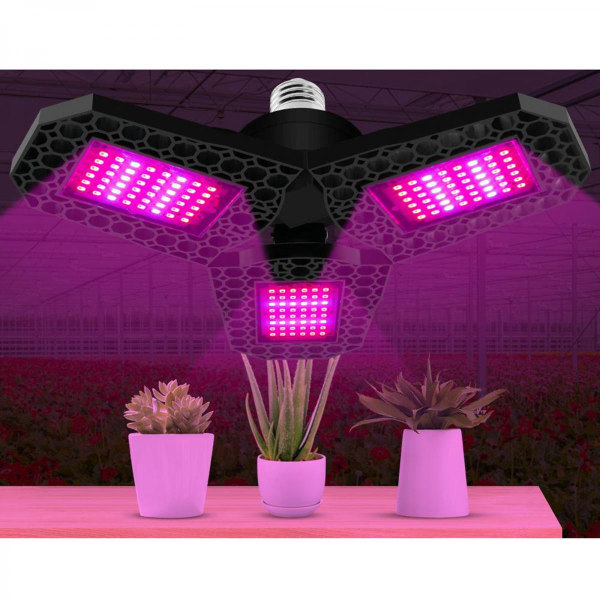 LED Växtlampor Inomhus Fullspektrum LED Panel För Mikrogrönt 144 LED
