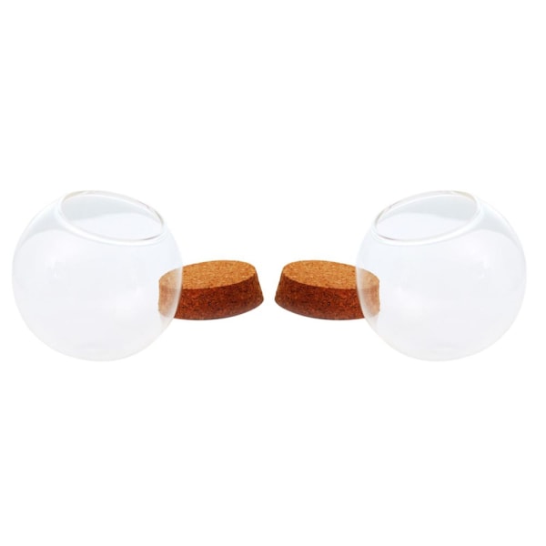 2 st Glasbollsformad Kupa Landskap Terrarium Behållare Lock Vas 12/15cm